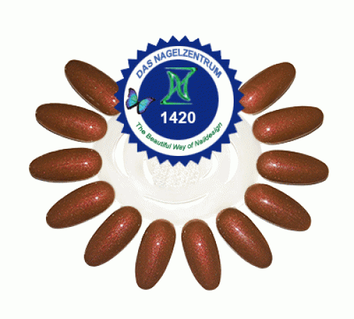 Farbgel No.1420 Shiny Brown